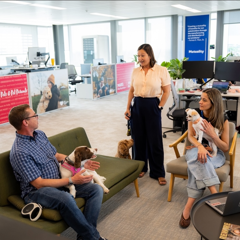 Mars Associates with their dogs at the office.