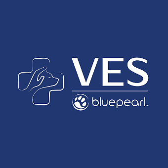 Vet Insight logo